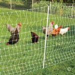 ELECTRIC POULTRY NET - 12 / 48 / 3 50M